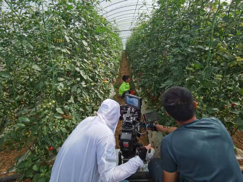 章丘市产品宣传视频拍摄公司进阶指南，助力品牌抢占传播高地